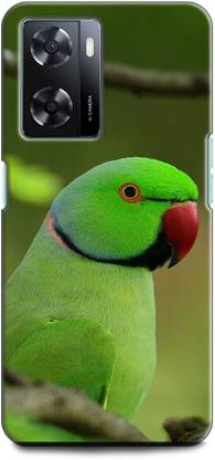 INDICRAFT Back Cover for OPPO A57, CPH2387 PARROT, COLOURFUL PARROT, BIRD,