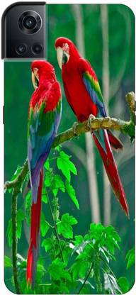 King Maker Back Cover for OnePlus 10 Pro 5G Back Cover