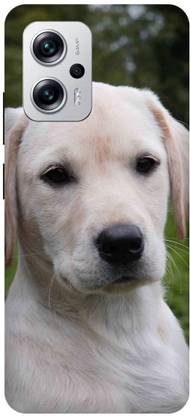 FIKORA Back Cover for REDMI K50i 5G, BLACK, DOG, JERMANSHEFERD, RETRIEVER, LEBRA