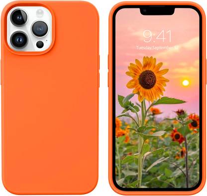 Imperium Back Cover for Apple iPhone 13 Pro Max