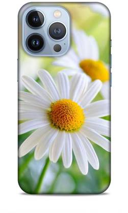 SmashItUp Back Cover for Iphone 13 Pro