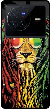 Casekaro Back Cover for Vivo X80