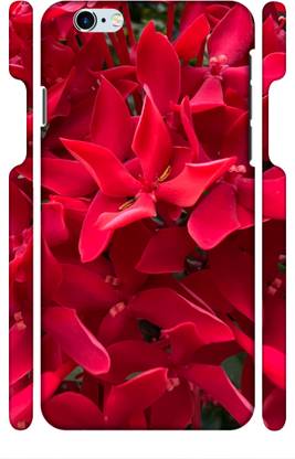 TrishArt Back Cover for Apple iPhone 6s Plus