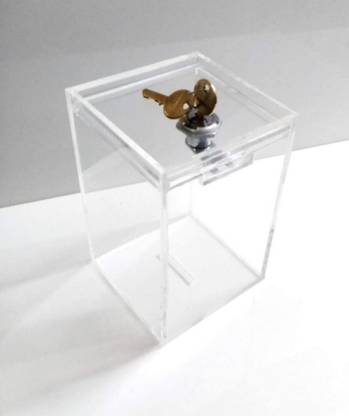 smyalifox Cash Box