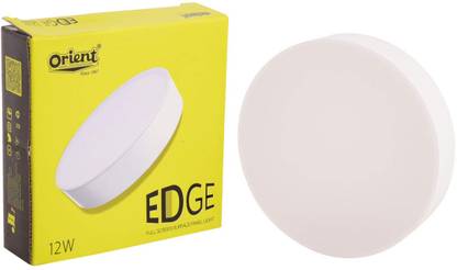 ORIENT 12W Surface Light Ceiling Light Ceiling Lamp