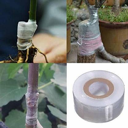 SIDDHI 1 Inch x 300 Meter Grafting Tape for Nursery and Garden Stretchable Moisture barrier Width- 2.54cm Manual Tape (Manual) (Set of 1, Transparent) tape Manual Tape (Manual)