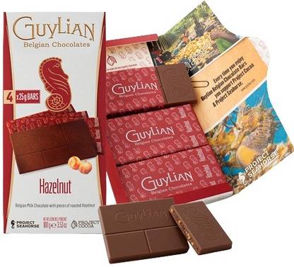 Guylian Belgian Chocolate Hazelnut Milk Chocolate Bar 100g Bars