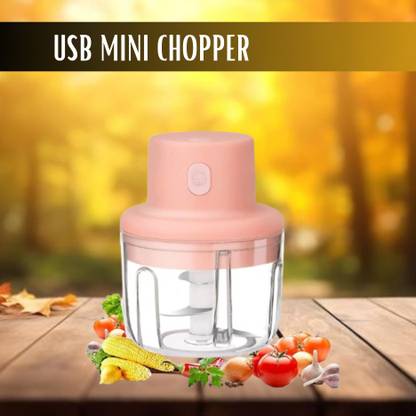 FRONY Chopper (Electric Rechargeable Chopper) for Kitchen Vegetable Garlic Onion B227 Electric Vegetable & Fruit Chopper