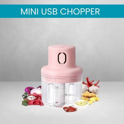 ROAR Mini Rechargeable Chopper, Electric Chopper for Onion, Garlic and VegetableC249 Electric Vegetable & Fruit Chopper