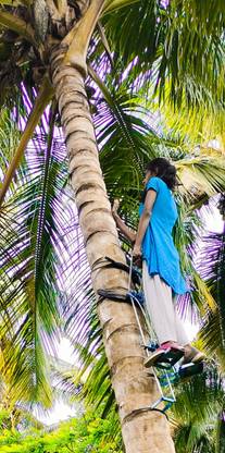 SaraGT Heavy duty Tree Climber 01 Climbing Hold