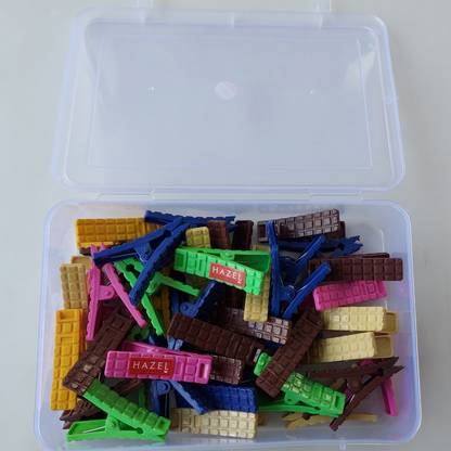 HAZEL Plastic Cloth Clips for Drying Wet Clothes with Container Dress Clips set of 30 Plastic Cloth Clips