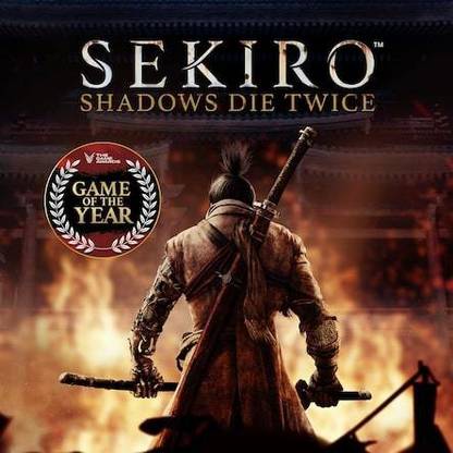 Sekiro Shadows Die Twice PS4(Read Before Buying)