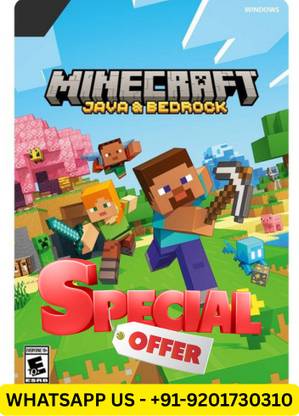 Minecraft java and bedrock account