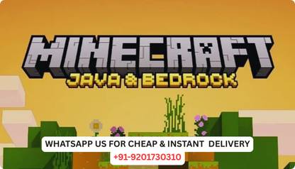 Minecraft java and bedrock edition Deluxe Edition