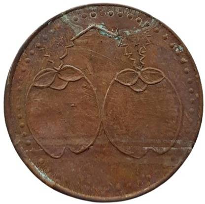COINS WORLD COCONUT MAGNETIC TOKEN /COIN OF EAST INDIA COMPANY POWER FUNCTION COIN Modern Coin Collection