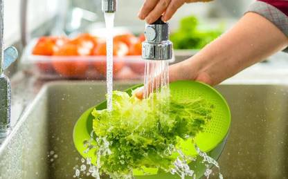 Dilaten Multi-Use Rice Bowl and Durable Plastic Strainer Strainer