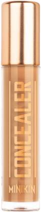 Character Minikin Concealer | Pocket Conceal| Radiant Coverage|16 Hour Perfection Concealer