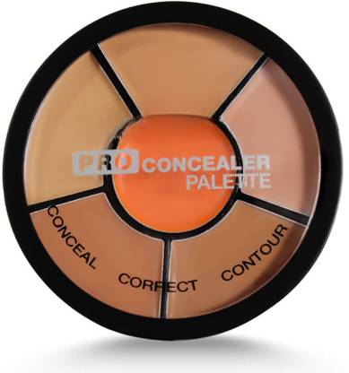 INSIGHTCOSMETIC Pro Concealer Palette Concealer