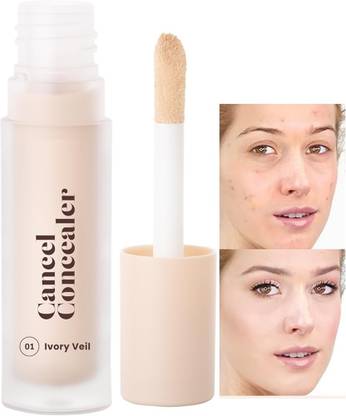 DARVING Full Coverage Color Corrector Dark Circles Face Skin Makeup Medium  Concealer
