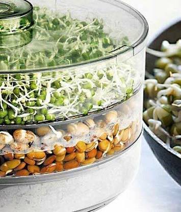 rushabh collections Plastic Sprout Maker  - 500 ml