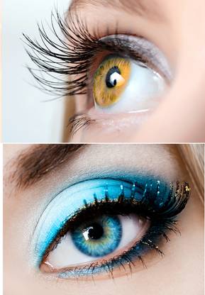 soft eye Monthly Disposable