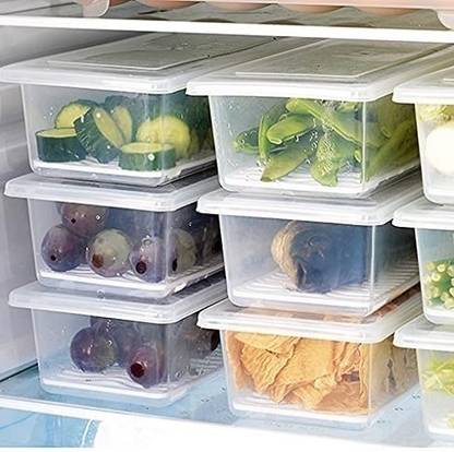 THEODORE Plastic Fridge Container  - 1500 ml