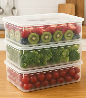 Rosebee Plastic Fridge Container - 3000 ml