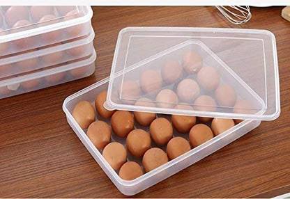 Coozico Plastic Egg Container  - 2 dozen