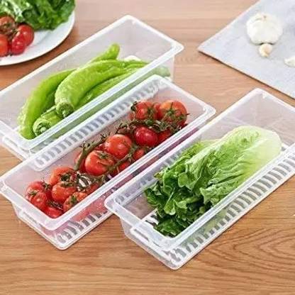 Apis Cerana Plastic, Silicone Fridge Container  - 1500 ml