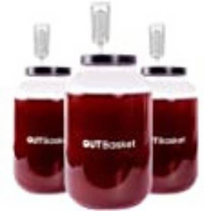 GUTBasket Glass Utility Container  - 4 L