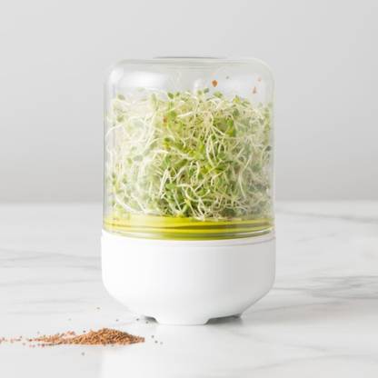 YEIPIS Plastic, Steel Sprout Maker  - 250 ml