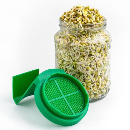 sprout-me Glass Sprout Maker  - 720 ml