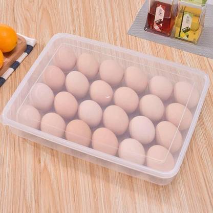 VR Plastic Egg Container  - 2 dozen