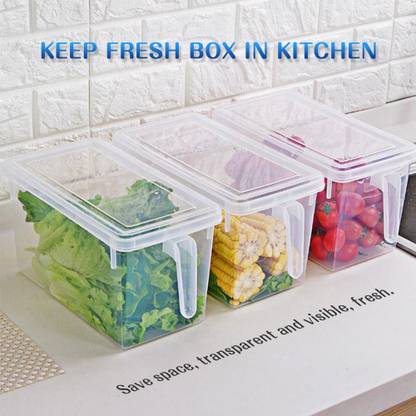 UNDERZONE Plastic Fridge Storage Box with Lid and - 2L, Pack of 2 Storage Box