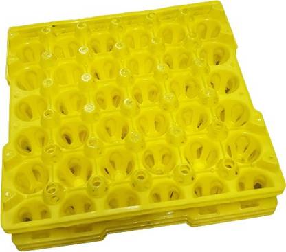 Gupta Plastic Egg Container  - 2.5 dozen