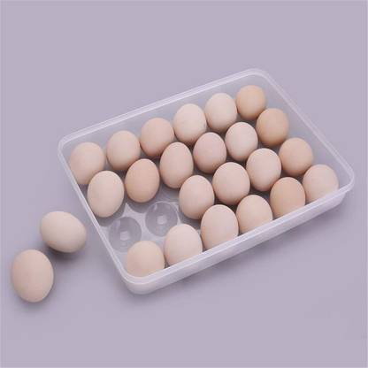 Tanlesa Plastic Egg Container  - 2 dozen