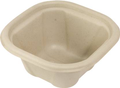 ShubhGreen Pack of 20 Sugarcane Bagasse