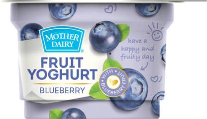 MOTHER DAIRY Blueberry Fruit Yogurt