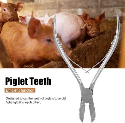 Bethlehem Pig Tooth Nipper Piglets Teeth Tooth Clipper Teeth Cutter ( 8 cm ) Bethlehem Pig Tooth Nipper Piglets Teeth Tooth Clipper Teeth Cutter 8 cm Wire Cutter
