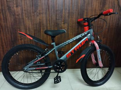 Ray STROM 20 T (inch) BMX Cycle