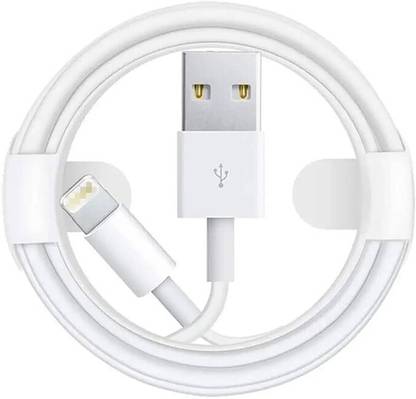 YCHROZE Lightning Cable 1 m Lightning to USB Cable 1M WHITE