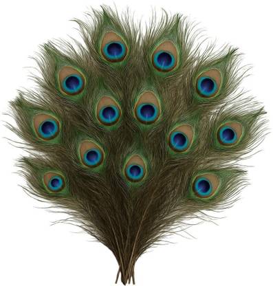 Rajmart Global Pack of 4 Decorative Feathers