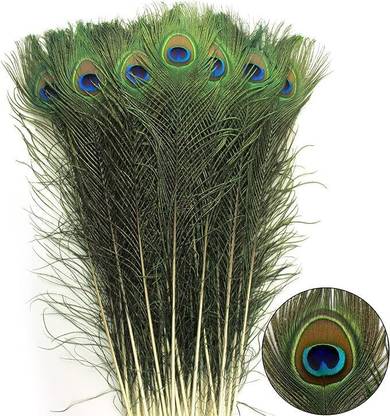 Rajmart Global Pack of 10 Decorative Feathers