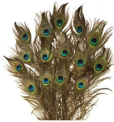 AMR Pack of 15 Decorative Feathers