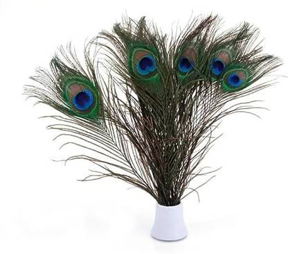 Raga Plus Pack of 15 Decorative Feathers