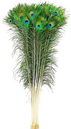 BLU VAPOUR Pack of 20 Decorative Feathers