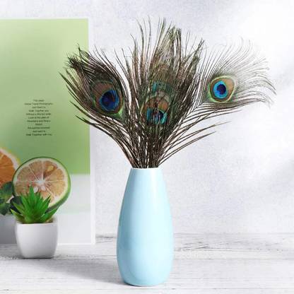undefined Pack of 5 Decorative Feathers