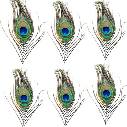 Rajmart Global Pack of 6 Decorative Feathers