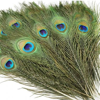 Tia Crafts Pack of 10 Decorative Feathers