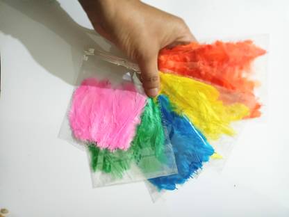 VedaX Pack of 125 Decorative Feathers